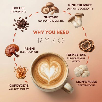 RYZE SUPERFOODS Mushroom Medium Roast Coffee USDA Organic with 6 Adaptogenic Mushrooms for Better Energy, Focus Digestion Immunity with Lions Mane & Turkey Tail 30 Pack of 1