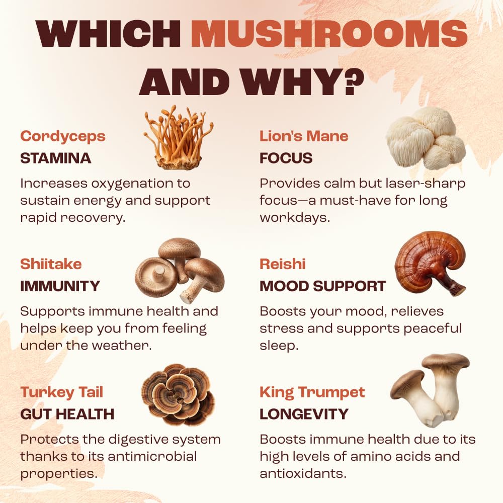 RYZE SUPERFOODS Mushroom Medium Roast Coffee USDA Organic with 6 Adaptogenic Mushrooms for Better Energy, Focus Digestion Immunity with Lions Mane & Turkey Tail 30 Pack of 1
