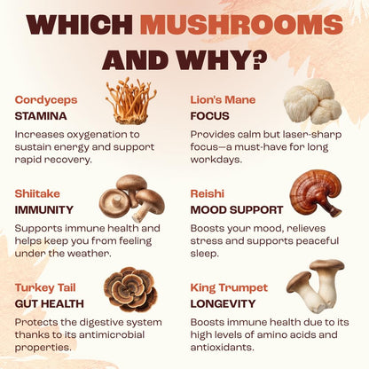 RYZE SUPERFOODS Mushroom Medium Roast Coffee USDA Organic with 6 Adaptogenic Mushrooms for Better Energy, Focus Digestion Immunity with Lions Mane & Turkey Tail 30 Pack of 1